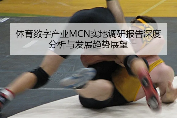 体育数字产业MCN实地调研报告深度分析与发展趋势展望
